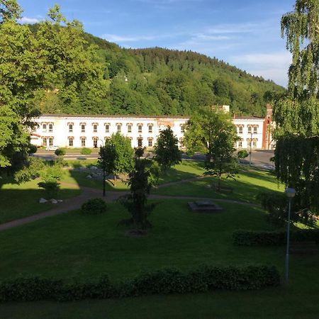 Apartman Stare Casy Svoboda nad Úpou Exteriör bild